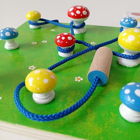 Les champignons et le Ver de terre