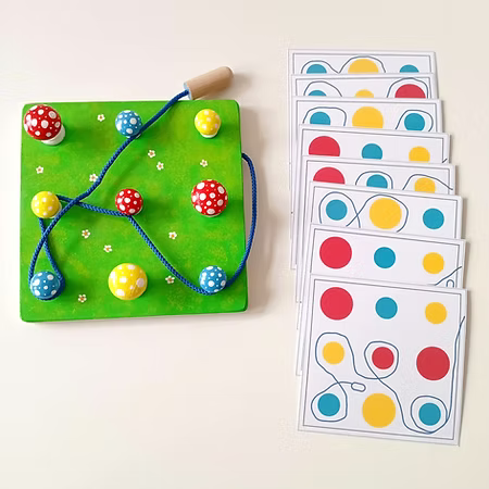 Les champignons et le Ver de terre