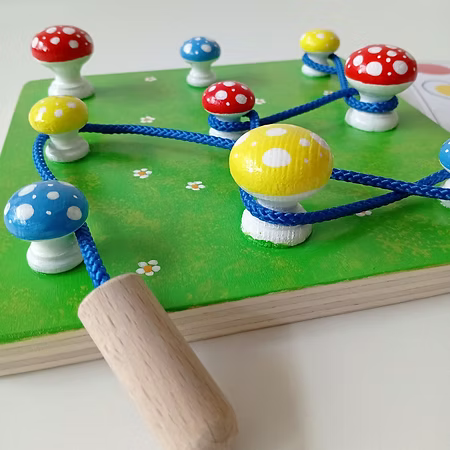 Les champignons et le Ver de terre