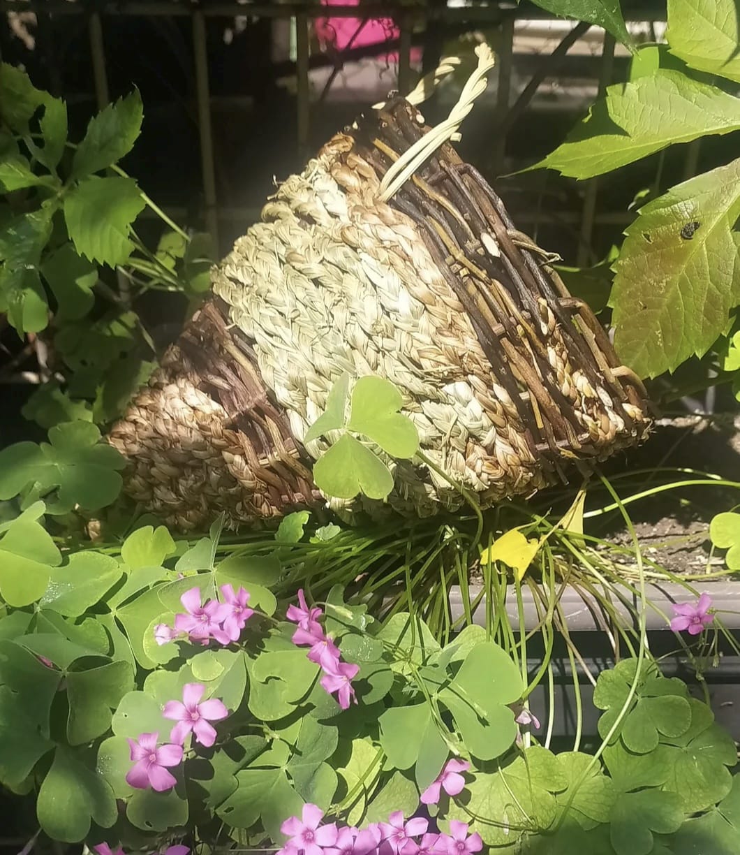 Corne d’abondance – Symbole d’abondance et de raffinement