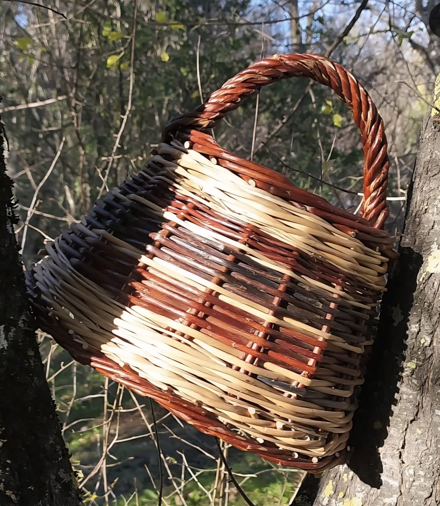 Panier en osier