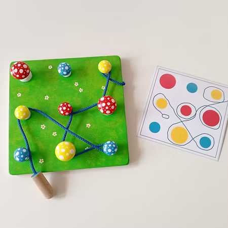 Les champignons et le Ver de terre