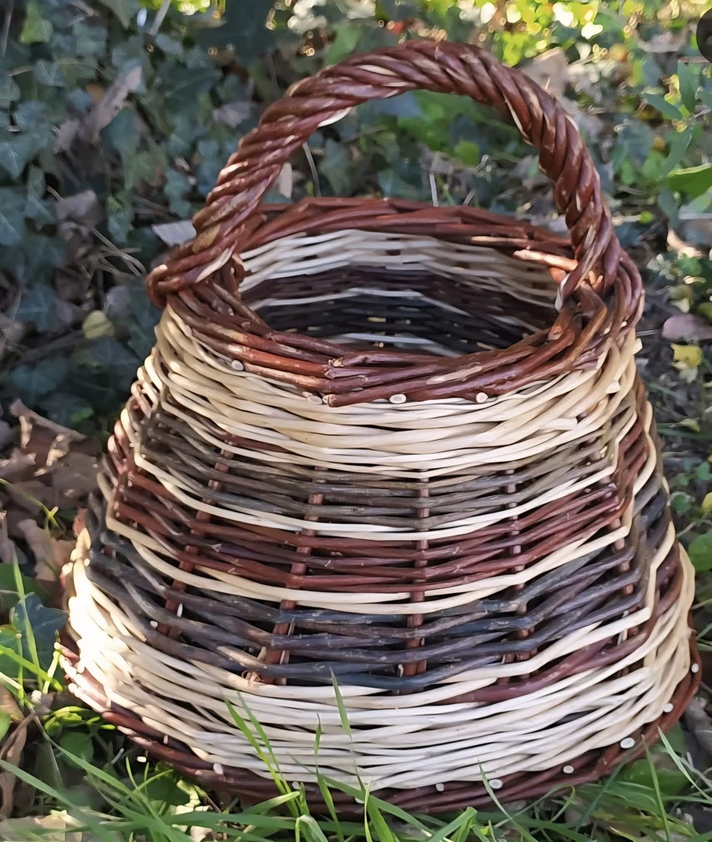 Panier en osier