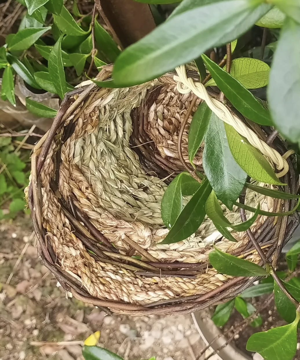 Corne d’abondance – Symbole d’abondance et de raffinement